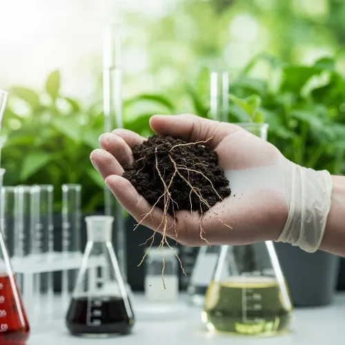 Hand holding soil with roots, representing soil analysis